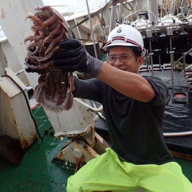 Bathynomus raksasa kafasından kuyruğuna yaklaşık 33 cm