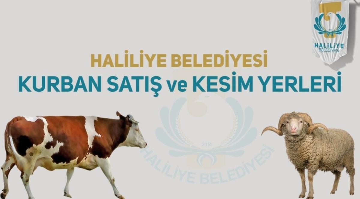 Haliliye&rsquo;de kurban satış ve kesim yerleri belirlendi