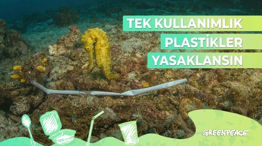 Kartal Belediyesi’nden Greenpeace’in kampanyasına destek
