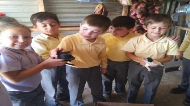 Öğrencilere ‘onlar bizim dostlarımız’ projesi ile hayvan sevgisi aşılandı