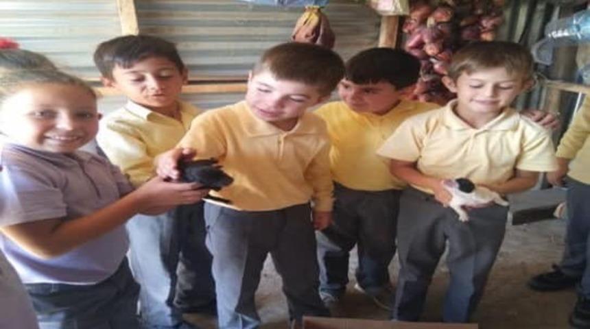 Öğrencilere ‘onlar bizim dostlarımız’ projesi ile hayvan sevgisi aşılandı