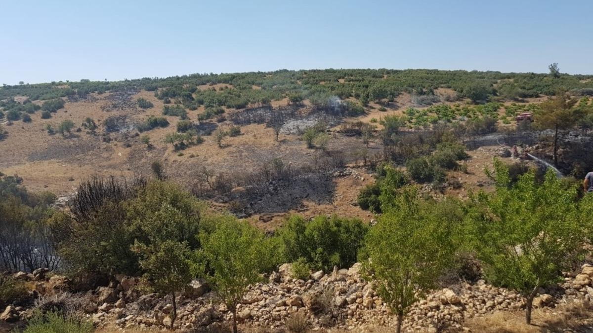 2 saatte kontrol altına alınan orman yangınında 5 hektar alan zarar g&ouml;rd&uuml;