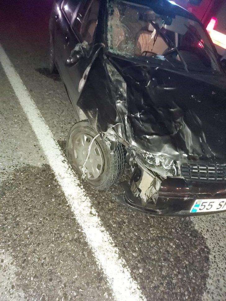 Türkeli’de otomobil büyükbaş hayvanlara çarptı: 2 yaralı G2