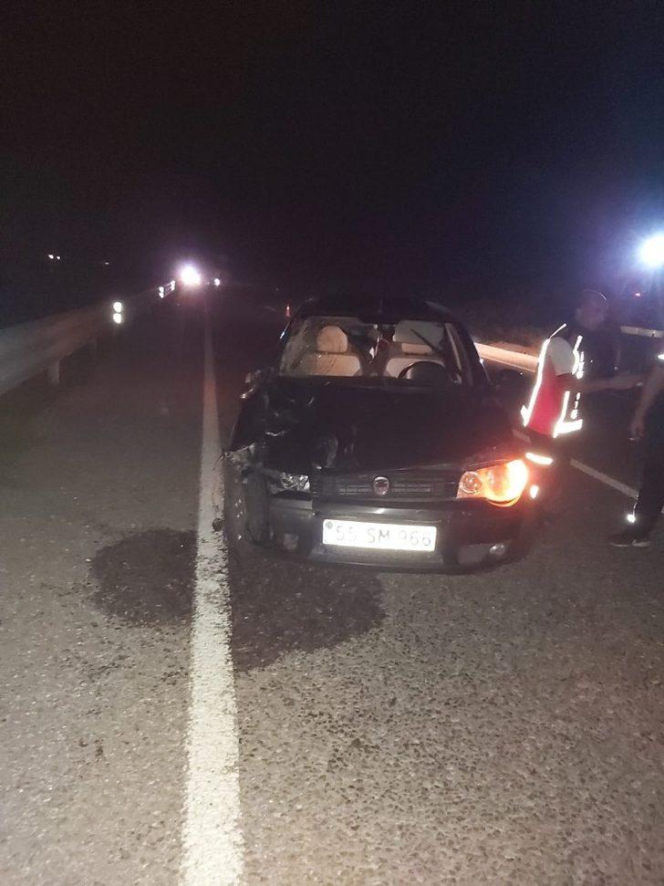 Türkeli’de otomobil büyükbaş hayvanlara çarptı: 2 yaralı G3