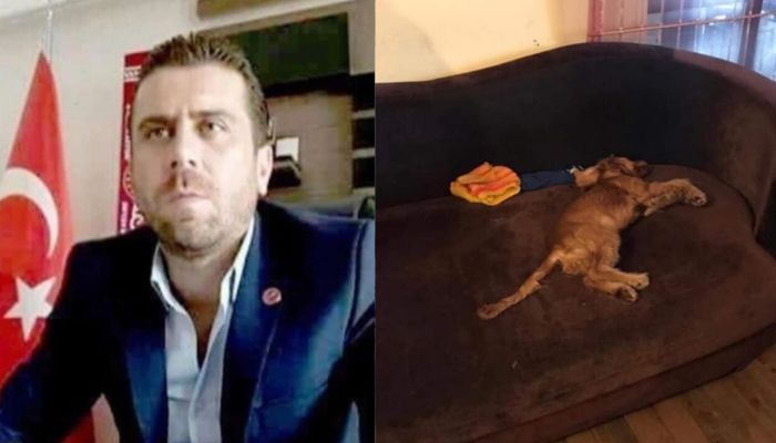 Köpeği tecavüz ederek öldürdü! Sosyal medyada Volkan Uzun tepkisi (Volkan Uzun kimdir?)