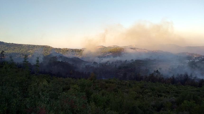 Antalya Manavgat'ta orman yangını