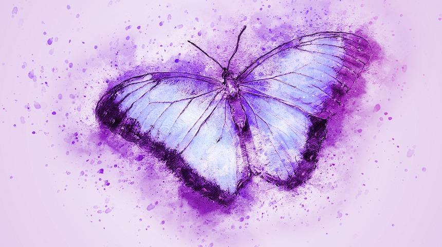 Kahve falında kelebek görmek ne anlama gelir? Falda kelebek şekli görmek