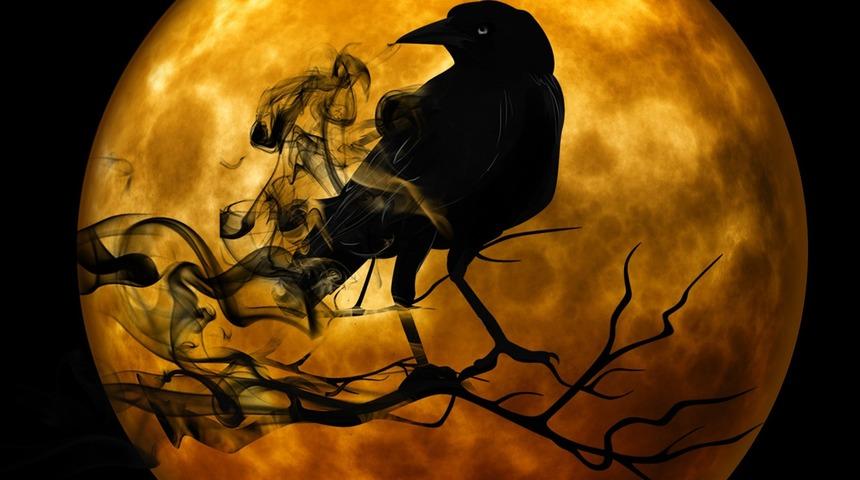 Kahve falında karga görmek ne anlama gelir? Falda karga şekli görmek