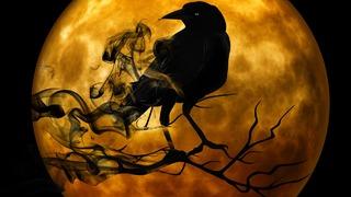 Kahve falında karga görmek ne anlama gelir? Falda karga şekli görmek