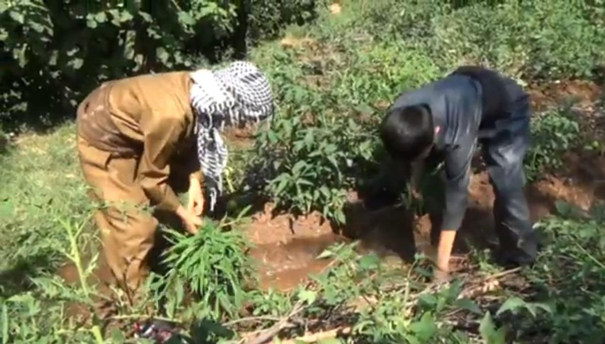 (&Ouml;zel) Y&ouml;resel elbiseli minik ellerden toprağa can suyu