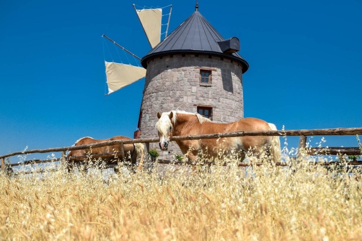 Faytondan &ouml;zg&uuml;rl&uuml;ğe