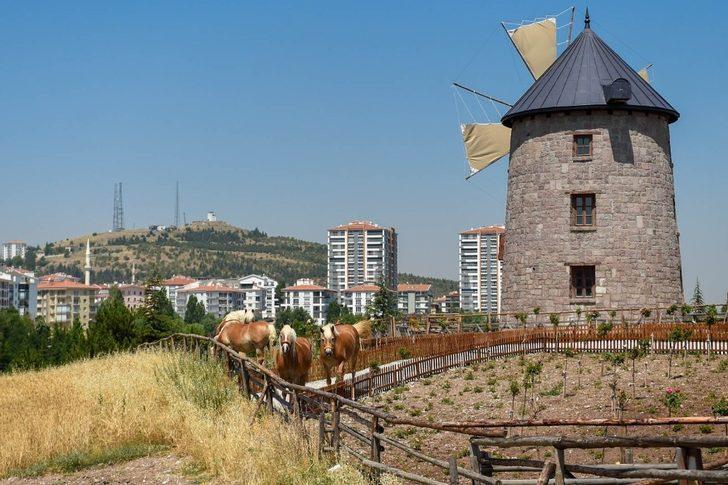 Faytondan özgürlüğe G3