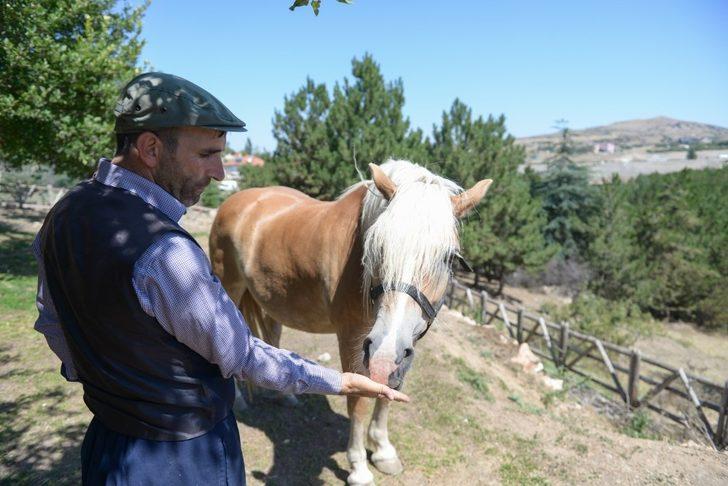 Faytondan özgürlüğe G4