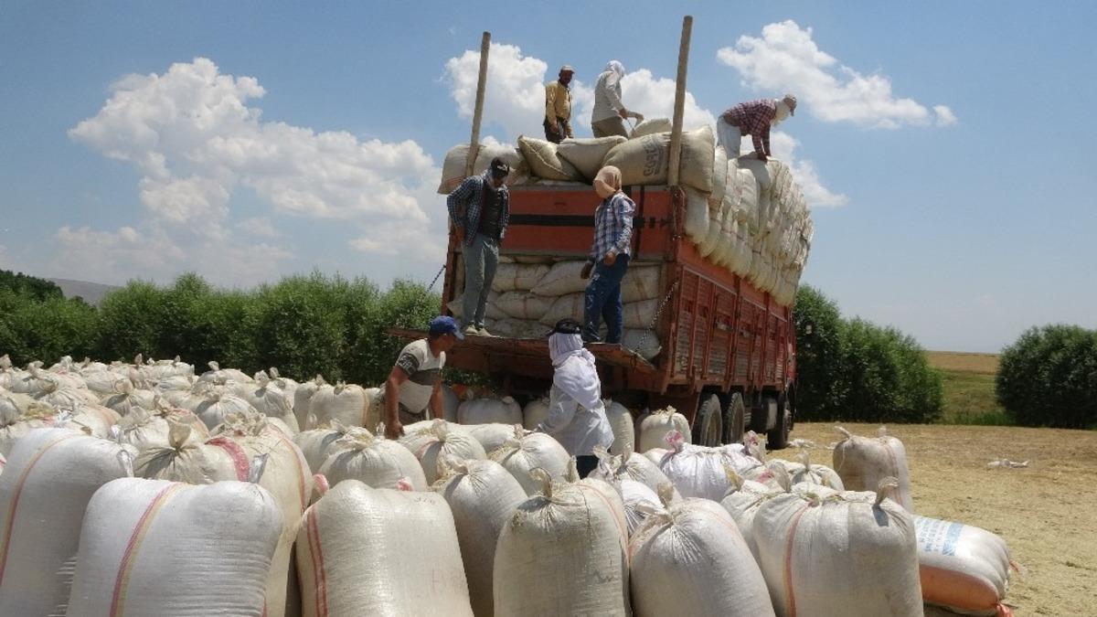 Muş&rsquo;tan &ccedil;evre illere saman sevkiyatı