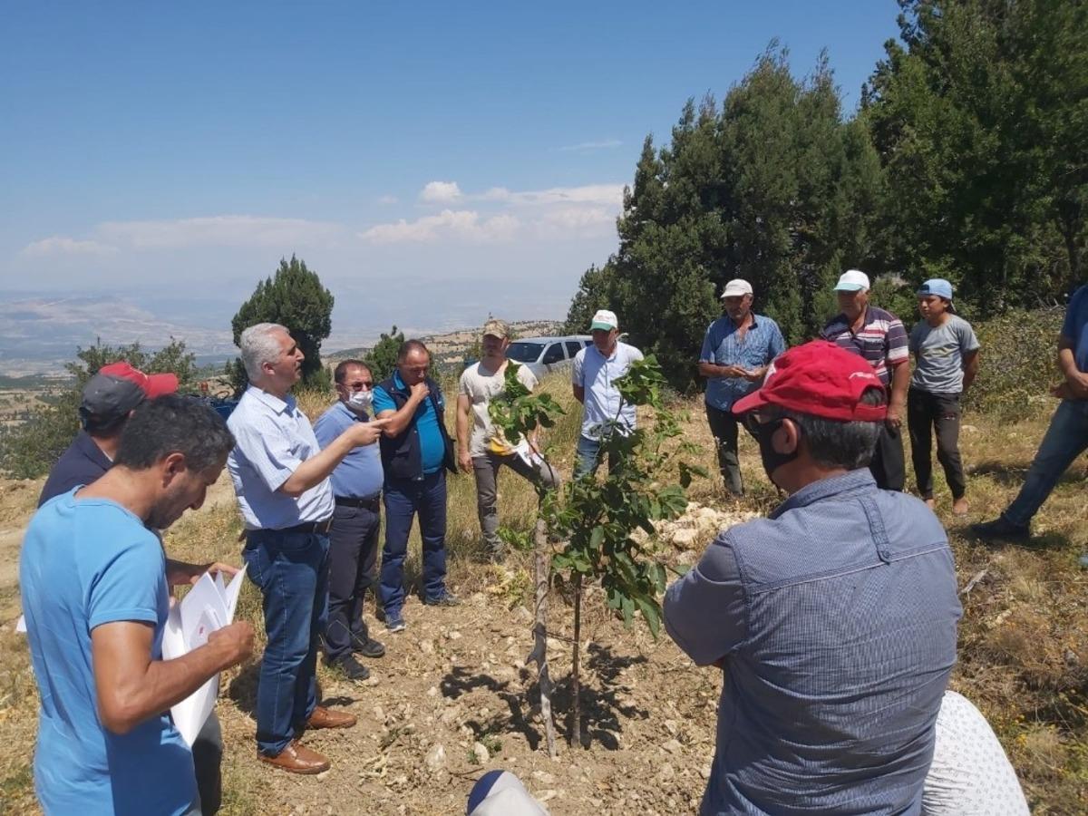 K&ouml;yl&uuml;lere, gelir getirici t&uuml;rlerin bakımıyla ilgili eğitim verildi