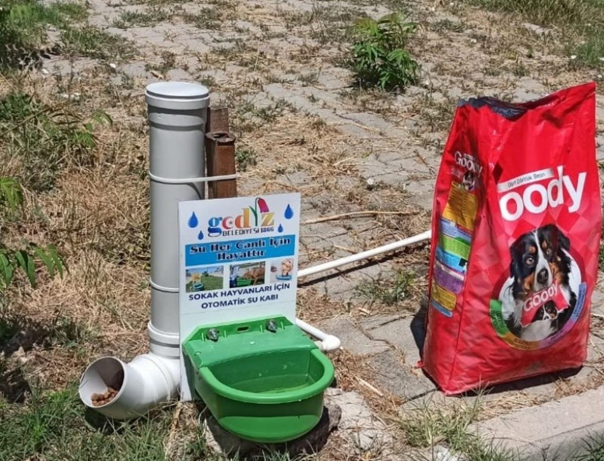 Gediz Belediyesi&rsquo;nden sahipsiz sokak hayvanları i&ccedil;in bir kap yemek bir kap su