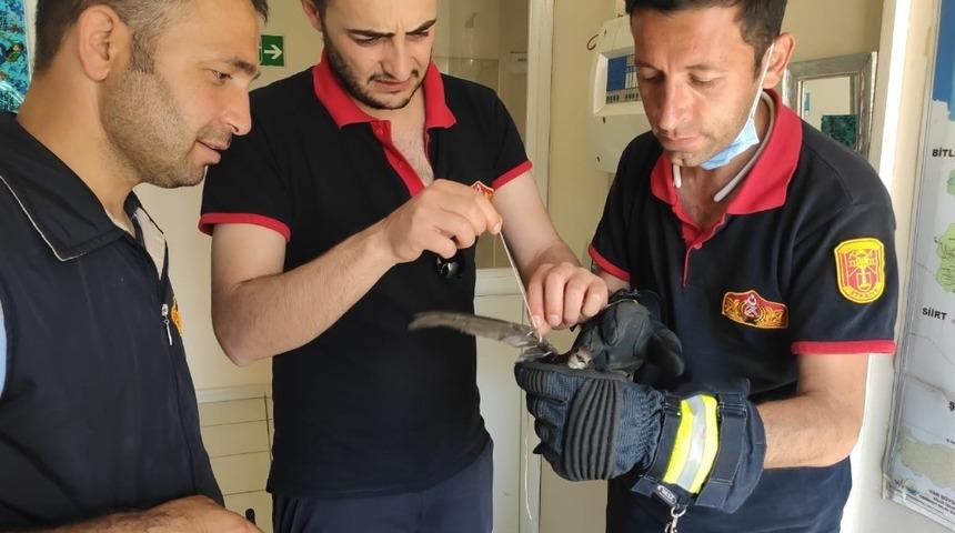 Kanatlarına u&ccedil;urtma ipi dolanan ebabil kuşu kurtarıldı