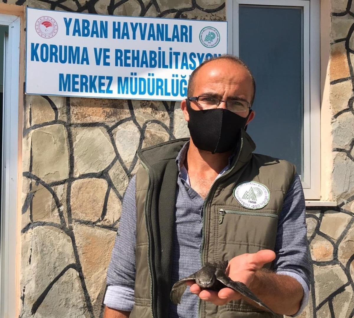 Yaralı kuşlar tedavi altına alındı