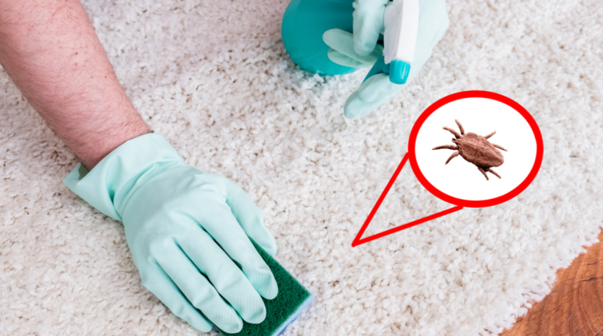 Çocuğunuzda alerji varsa oda temizliğinde bunlara dikkat edin! Günlerce uykusuz kalabilirler...