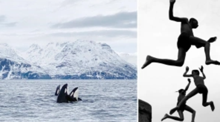 iPhone Fotoğraf Ödülleri’nin akılları baştan alan kazananları