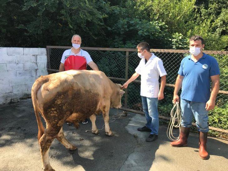 Kdz. Ereğli’de kurban kesimi eğitimi verildi G2