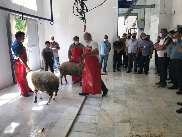 Kdz. Ereğli’de kurban kesimi eğitimi verildi G4