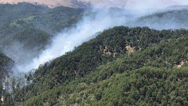 Kızıldağ’da orman yangını