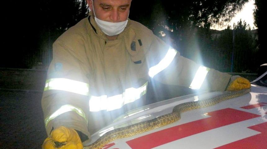 Edremit&rsquo;te aracın i&ccedil;indeki yılanı itfaiye ekipleri &ccedil;ıkardı