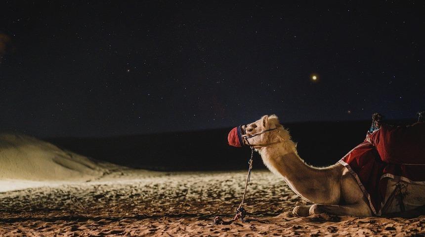 Kahve falında deve görmek ne anlama gelir? Falda deve şekli görmek