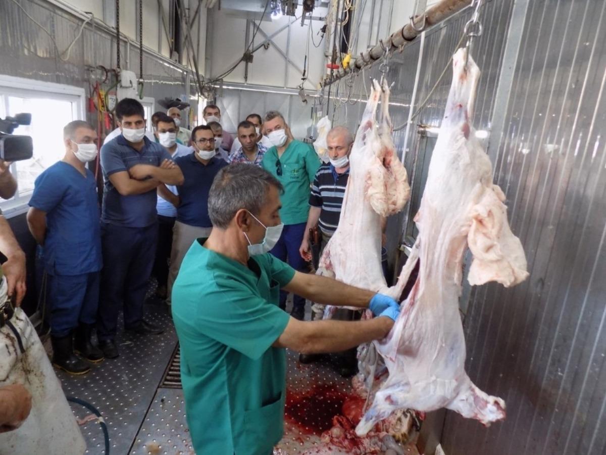 Kurban kesim kursu tamamlandı