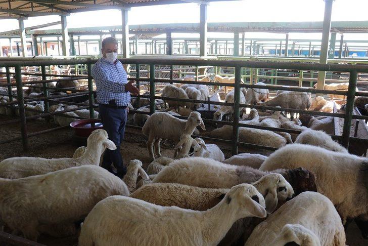 Keskin, hayvan pazarını ziyaret etti G1