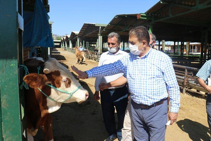 Keskin, hayvan pazarını ziyaret etti G3