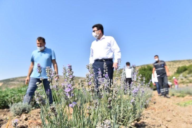 Altıeylül Belediyesi tarımsal kalkınmaya destek oluyor G1