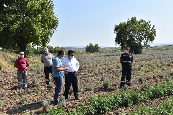 Altıeylül Belediyesi tarımsal kalkınmaya destek oluyor G2