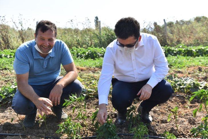 Altıeylül Belediyesi tarımsal kalkınmaya destek oluyor G5