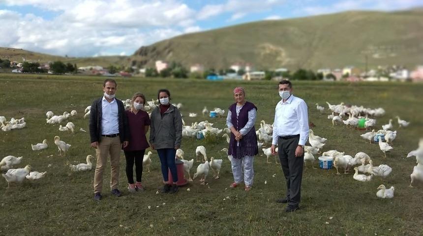 Yoksullukla m&uuml;cadelede Kaz Yetiştiriciliği Projesi