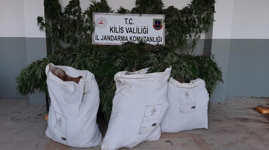 Kilis’te uyuşturucu operasyonu