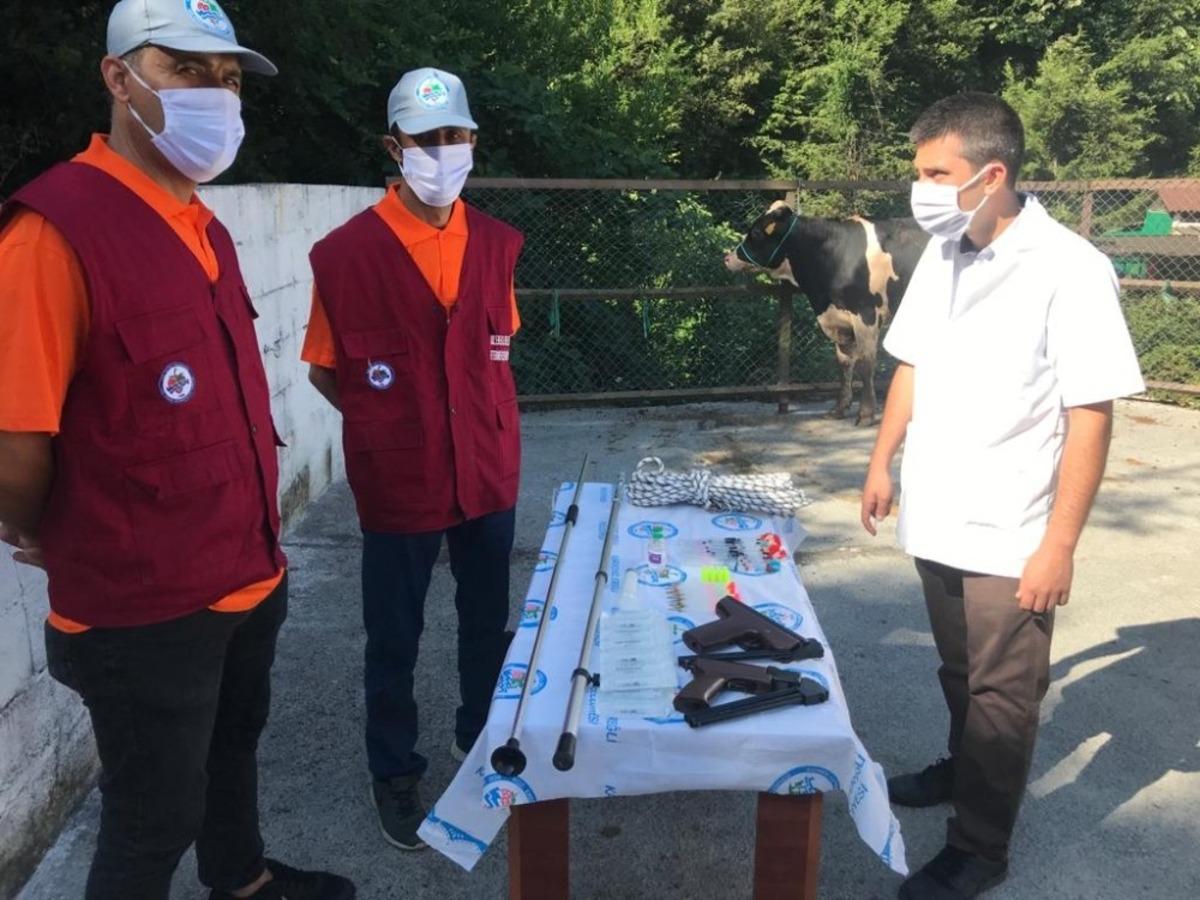 Kdz. Ereğli Belediyesi kurban yakalama timi kurdu