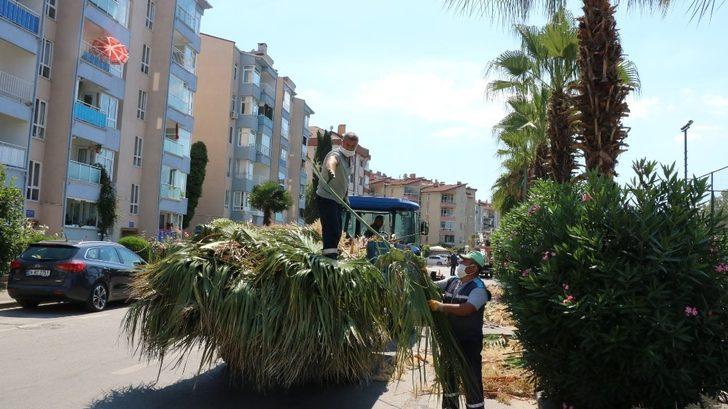 Karamürsel sahilindeki palmiyeler bakımdan geçti G2