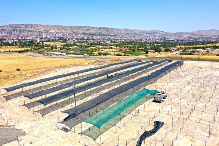 Elazığ’da kurban satış ve kesim yerleri hazırlanıyor G5