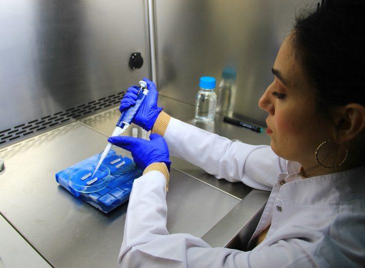 Ata tohumları geleceğe miras için donduruluyor G4