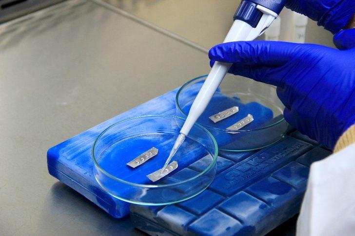 Ata tohumları geleceğe miras için donduruluyor G5