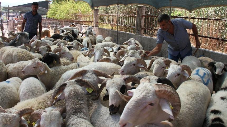 Kurban Hizmetleri Komisyonu kararları a&ccedil;ıklandı