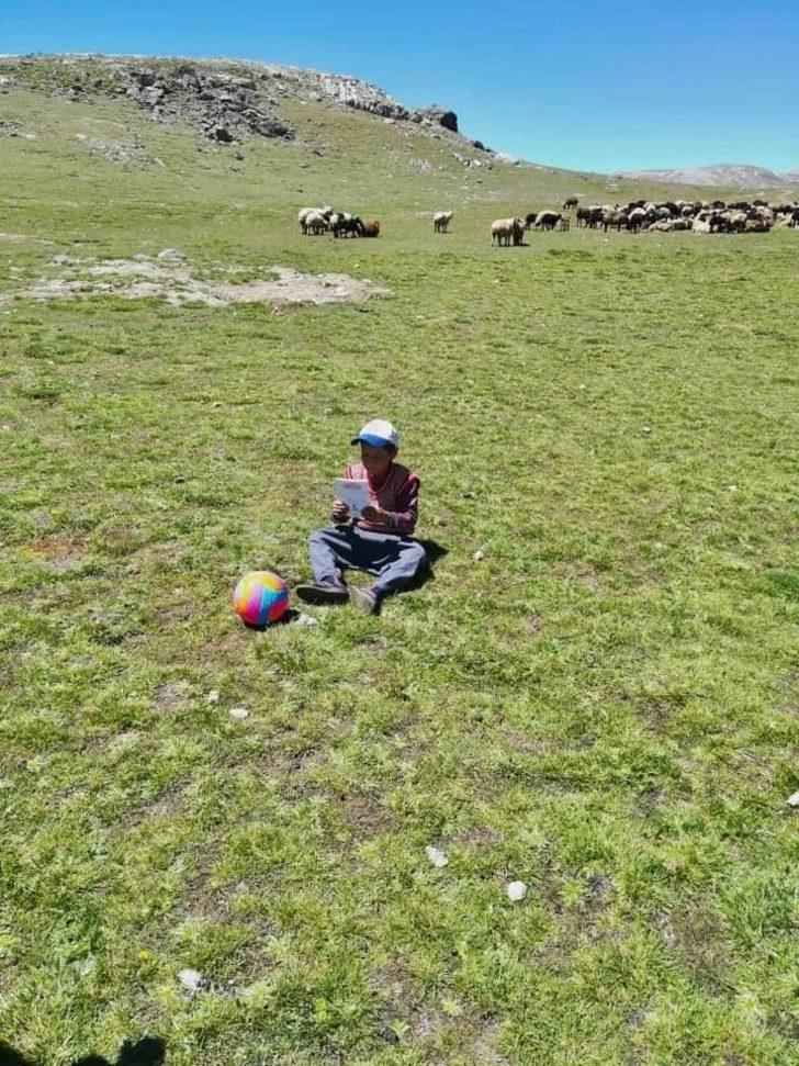 Mersin’de ’Kara çadırda yaz okulu’ projesi G5