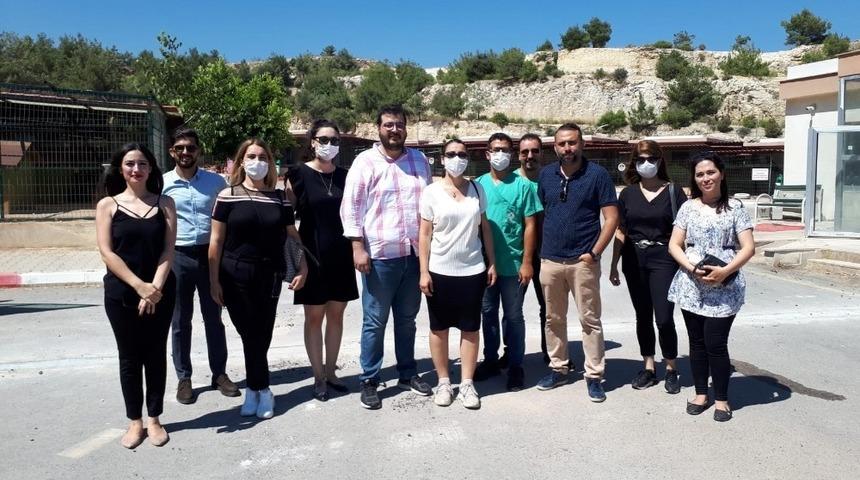 Mersin Barosu, pandemide sokak hayvanlarının barınma şartlarını raporladı