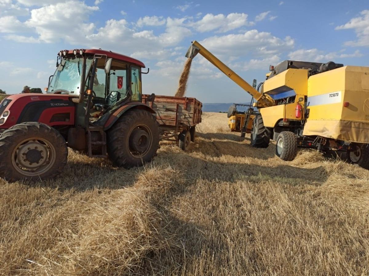 Umdukları hasadı yapamadılar