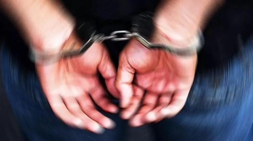 Köpeğe tecavüze kalkıştığı iddiasıyla gözaltına alındı