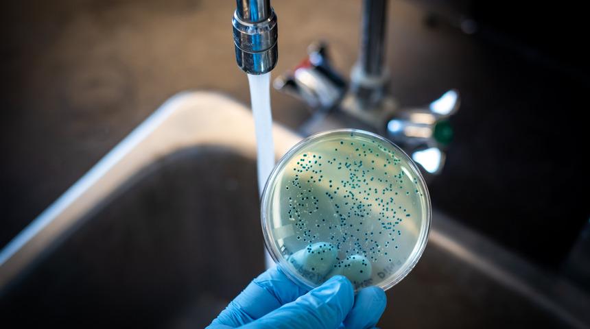 Tifo: Nedenleri, belirtileri, tedavisi