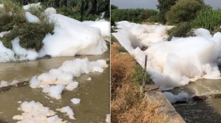 Mersin'in Tarsus ilçesinde şaşırtan görüntü! İnceleme başlatıldı