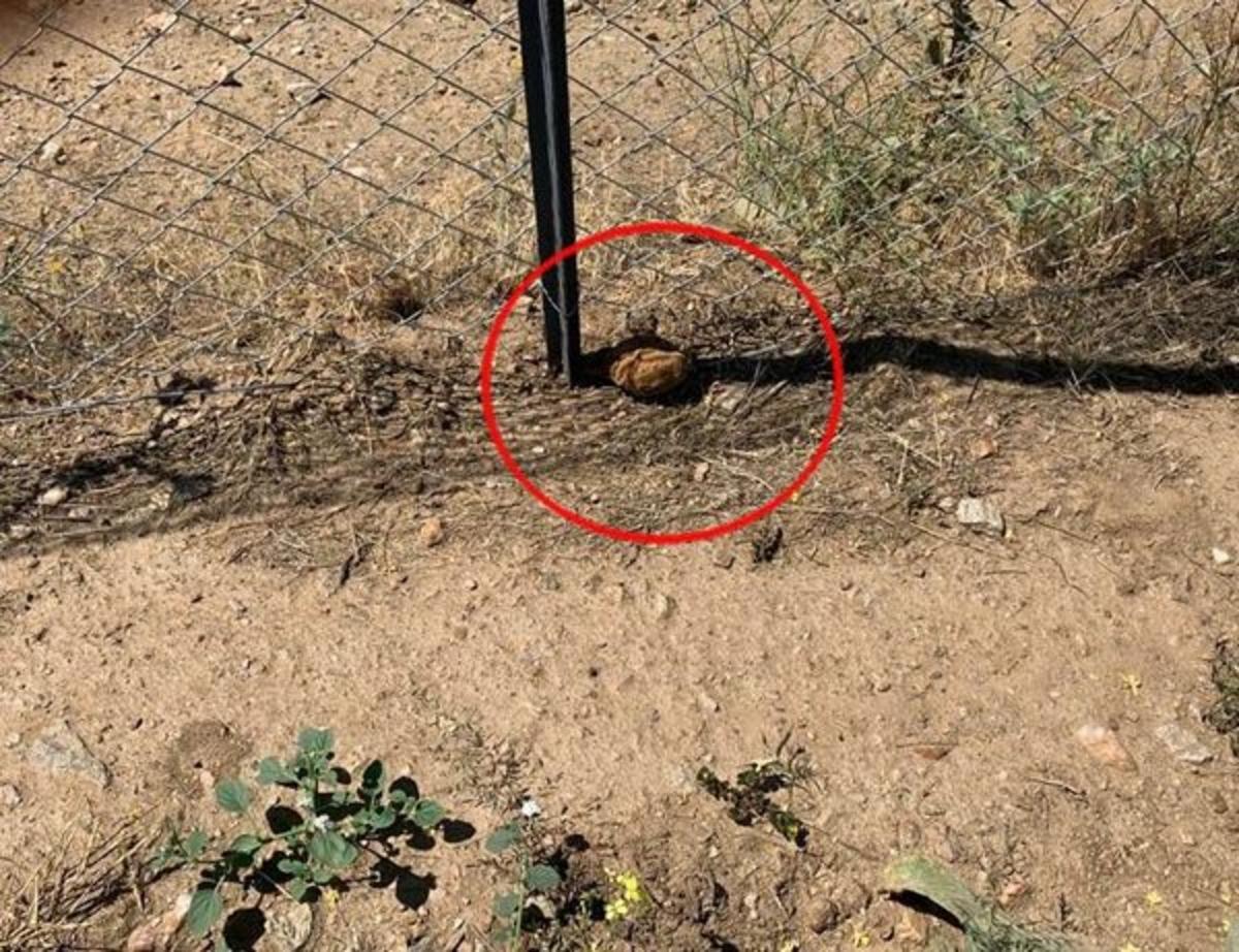 Kurtuluş Savaşı'ndan kaldığı tahmin edilen el bombası imha edildi